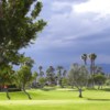 A view of a green at Outdoor Resort & Country Club