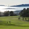 A view from Berkeley Country Club