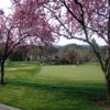 A spring view from Round Hill Golf & Country Club