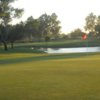 A sunny day view from Las Positas Golf Course