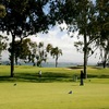 View from one of the greens from Coronado GC - San Diego Bay as backdrop