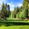 A view of the 14th green at Tahoe Paradise Golf Course
