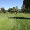 A sunny day view from Los Robles Greens Golf Course