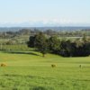 A view from Casserly Golf Course