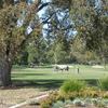 A view of El Macero Country Club