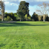 A view from a fairway at Alister Mackenzie from Haggin Oaks Golf Course