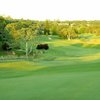 A view of a green from Auburn Valley Golf Club