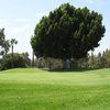 A green view from Birch Hills Golf Course