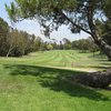 A view of the 4th green at Birch Hills Golf Course