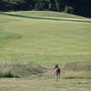A view of a green with a deer in foreground at Crystal Springs Golf Course.