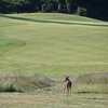 A green view with deer in foreground at Crystal Springs Golf Course