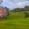 A spring day view of a fairway from Healdsburg Golf Club at Tayman Park