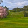 A spring day view of a fairway from Healdsburg Golf Club at Tayman Park