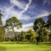 A view of a green from Harding at Griffith Park Golf Courses