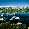 A view from Rancho Mirage Country Club