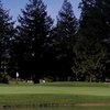 A view of green at Foxtail Golf Club