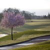 An early morning view from Timber Creek Golf Course - Sierra Pines