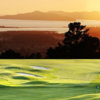 A view of the 9th green at Berkeley Country Club