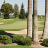 A view of a green protected by a collection of bunkers at Belmont Country Club