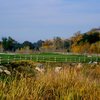 A view of green #16 at Native Oaks Golf Club