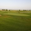 A view of the 1st green at Wild Wings Golf Club