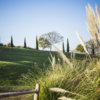 A view of a hole at Bella Collina Towne & Golf Club