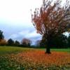 A splendid fall day view from Sunnyvale Golf Course