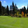 A view of a green at Whitehawk Ranch Golf Club.