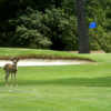 A view of hole #10 at Cold Springs Golf & Country Club.