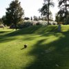 A view of tee #4 at Turlock Golf & Country Club.
