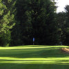 View of a green at Mace Meadow Golf Club