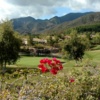 View of a green at Glen Ivy Golf Club