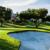 A view of green #17 at Rancho Bernardo Inn.