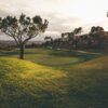 A sunny day view of a green at Arrowood Golf Course.