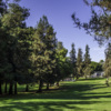 A view from Rancho Park Golf Course.