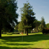 A view of a green at Rancho Park Par-3 Golf Course.