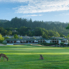 A view from the Valley of the Moon Golf Club