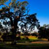 A view of a hidden hole at Empire Ranch Golf Club.