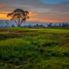 A view from Baylands Golf Links