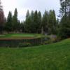 View of the 9th hole from Forest Meadows Golf Course