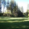 A sunny day view of a hole at Forest Meadows Golf Course.
