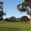 A view of a green at Nine Hole at Balboa Park Golf Club.