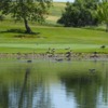 View of a green over a pond at Teleli Golf Club.