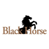 Black Horse at Bayonet/Black Horse Golf Course - Public Logo