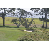 The firm and fast conditions expected at Pebble Beach Golf Links for the 2010 U.S. Open could propel wayward drives to some unsettling lies or even out of bounds.