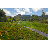 A view of the 11th fairway on the Willow Glen Course at Sycuan Golf Resort.