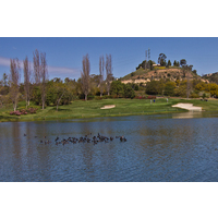 Be aware of ducks at Riverwalk Golf Club: They are silent ball collectors.