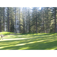 When the late-afternoon sun cuts through the trees, Whitehawk Ranch Golf Club's become even more dramatic.