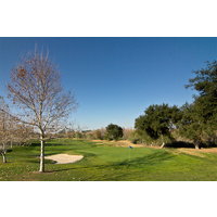 The fourth green at Glen Ivy Golf Club is protected by oak trees and two sand bunkers.