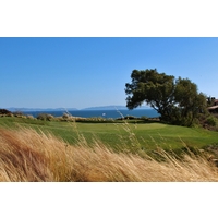 Wispy grasses and a wetland protect the ninth green on The Links at Terranea in Rancho Palos Verdes, California. 